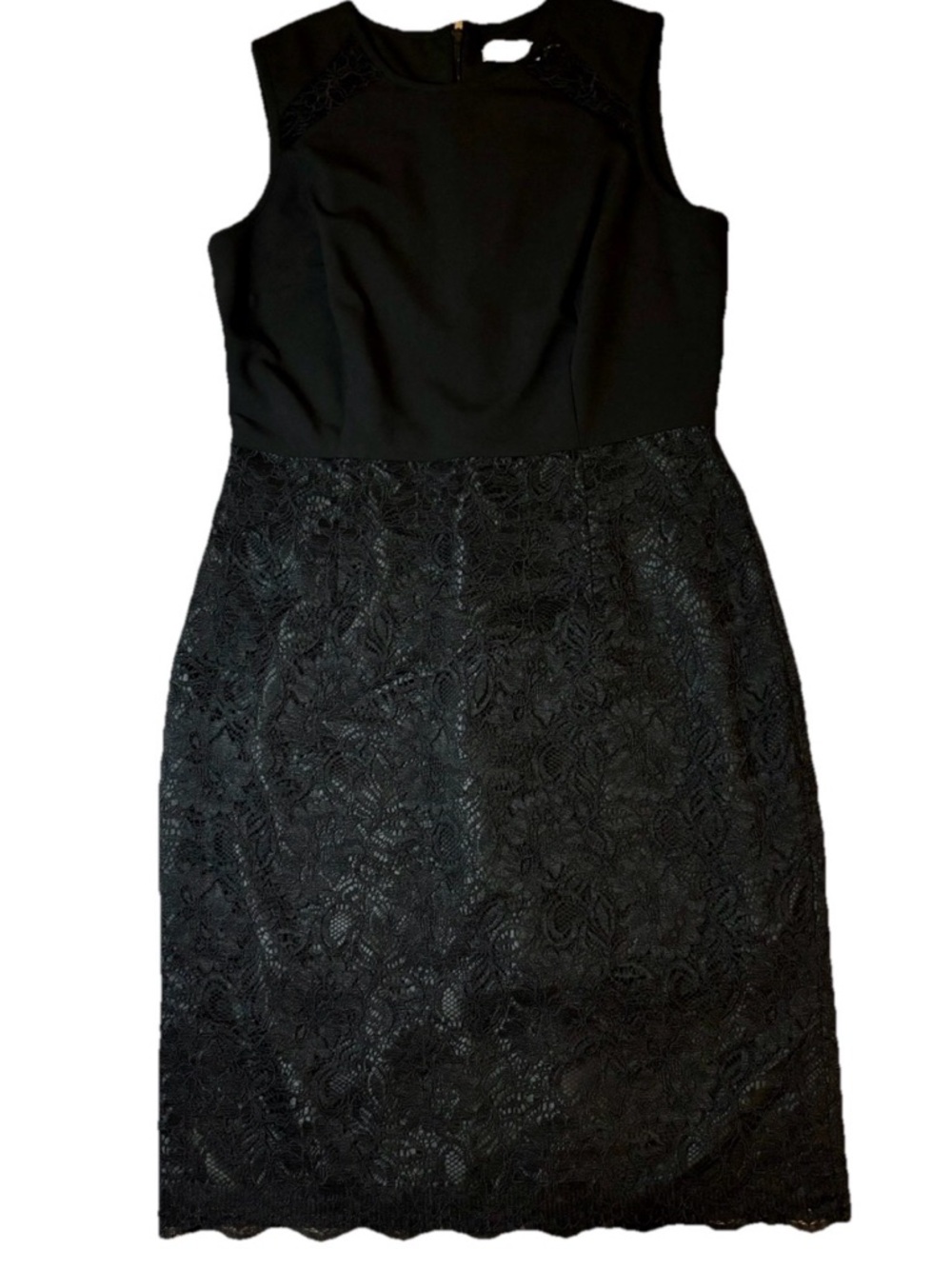 Calvin Klein Lace Sheath Dress Black Size 6 Sleeveless Scalloped Hem